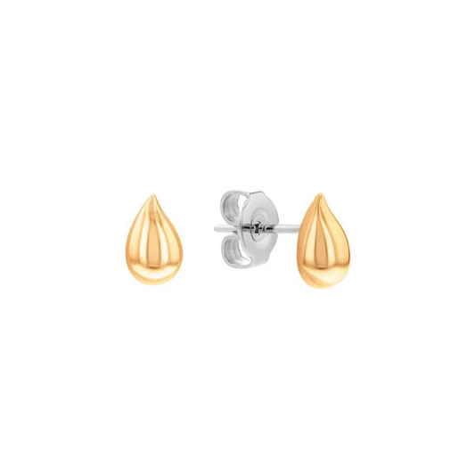 Calvin Klein Sculptured Drop Earrings Ref :35000071