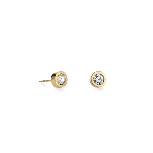 Earrings Crystal & stainless steel gold crystal Ref :0228-21-1816